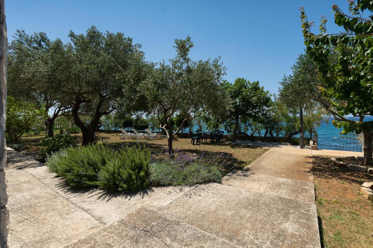 Family Friendly Seaside Apartments Kozino, Zadar - 5756 佩特坎内 外观 照片